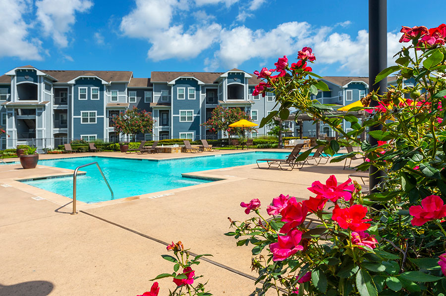 Cambria Cove